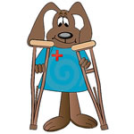 Cane con stampelle