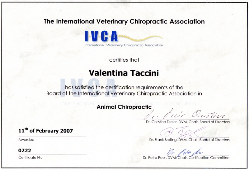 Certificato chiropratica veterinaria international veterinary chiropractic association
