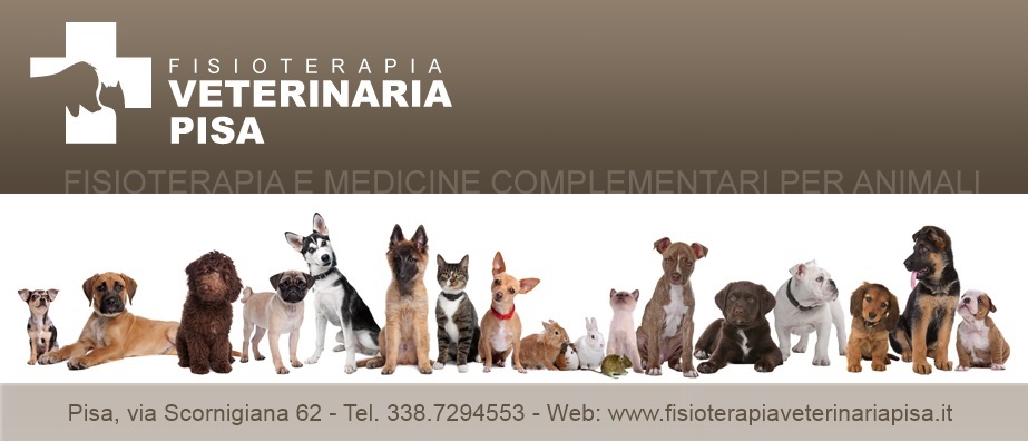 Fisioterapia Veterinaria Pisa