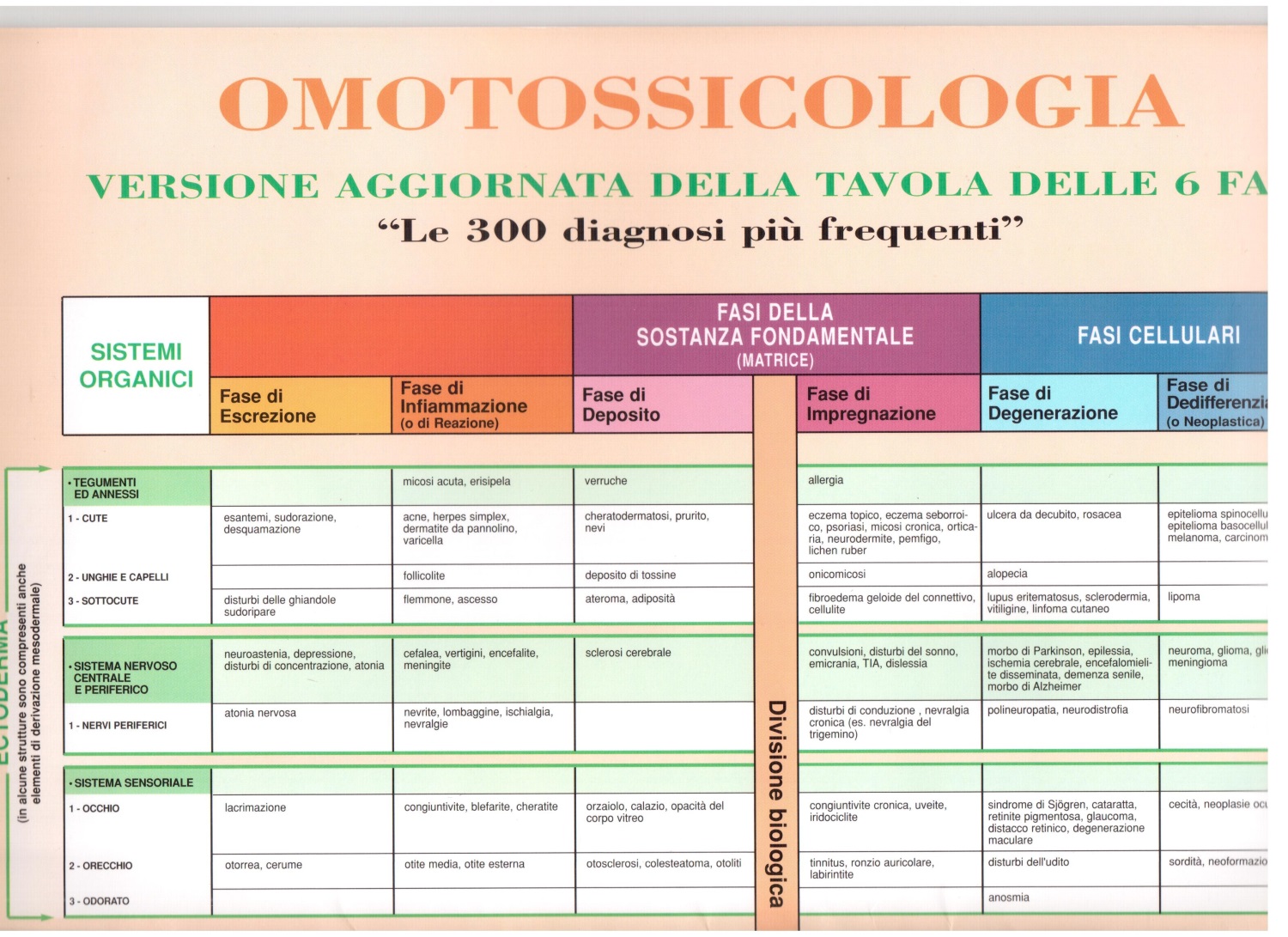 Tavola omotossicologica Tavola omotossicologica