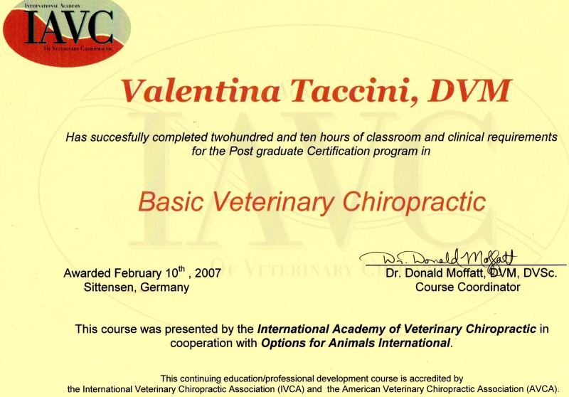 Certificato chiropratica veterinaria international academy of veterinary chiropractic