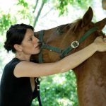 Chiropratica veterinaria per il cavallo - Fisioterapia Veterinaria Pisa®