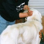 Sharon Willoughby-Blake, fondatrice della prima scuola chiropratica veterinaria