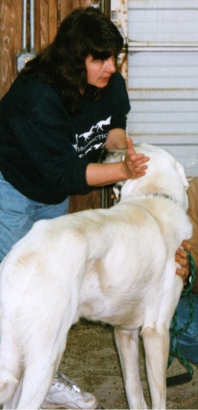 Sharon Willoughby-Blake chiropratica veterinaria