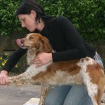 Quando può servire il chiropratico nei piccoli animali - Fisioterapia Veterinaria Pisa®