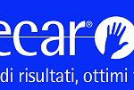 Tecar: Protocollo di trattamento - Fisioterapia Veterinaria Pisa®