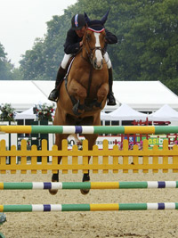 Jumping horse
