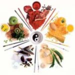 Terapia alimentare per i piccoli animali